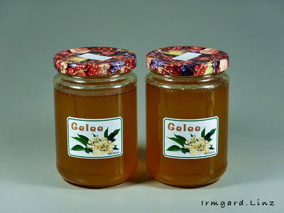 Holunderblütengelee Rezept