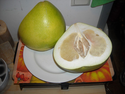 Pomelo - Gelee Rezept
