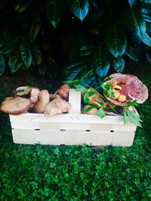 Geröstete Schwammerl oder Steinpilze  Rezept